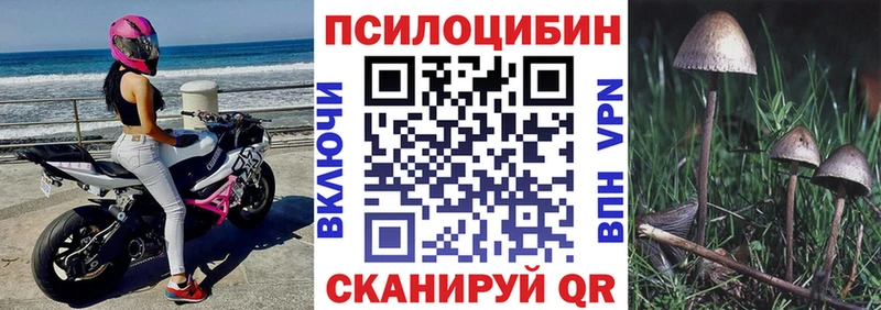 Купить где  Феодосия  Галлюциногенные грибы GOLDEN TEACHER 